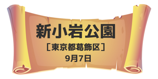 新小岩公園（東京都葛飾区）9月7日