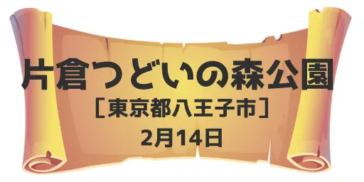 片倉つどいの森公園（東京都八王子市）2月14日