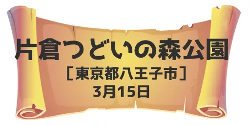 片倉つどいの森公園（東京都八王子市）3月15日